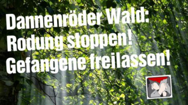 Rodung im Dannenröder Wald forderte mehrere Schwerverletzte