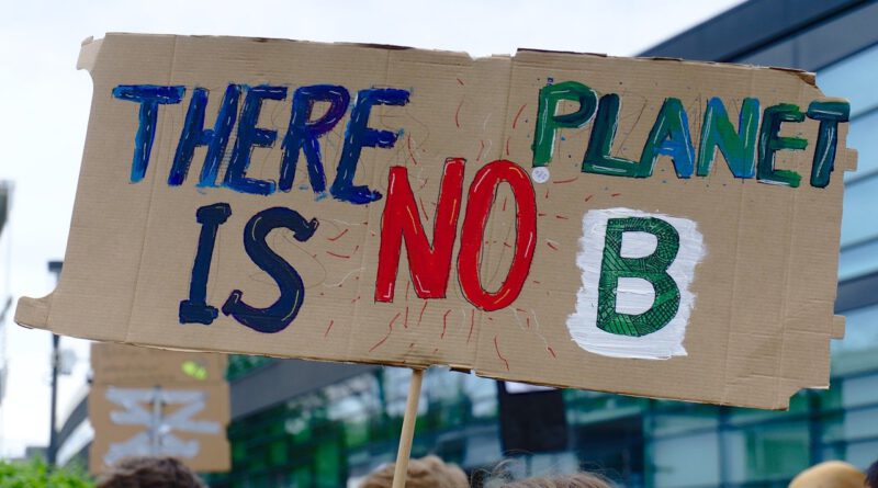 Fridays for Future kündigt nächsten Aktionstag an